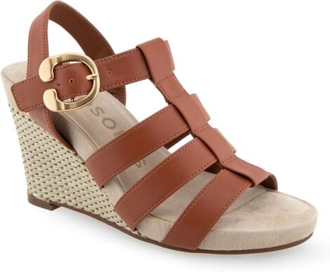 61KC3xZnylL._AC_SY500_